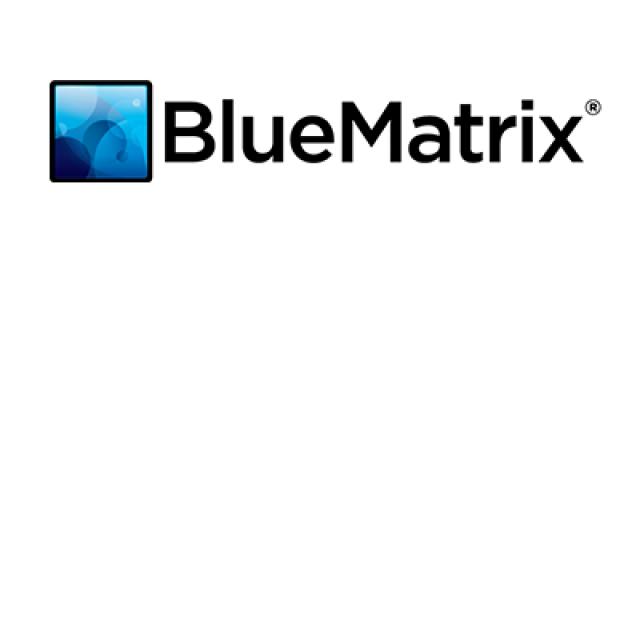 Logo: Blue Matrix