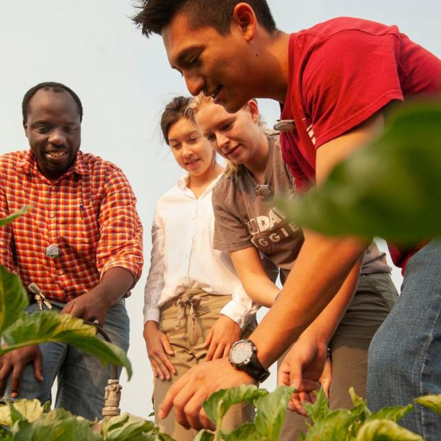 Group of people in a field