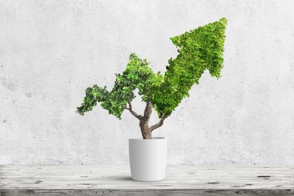 Potted tree with foliage shaped like a stock chart