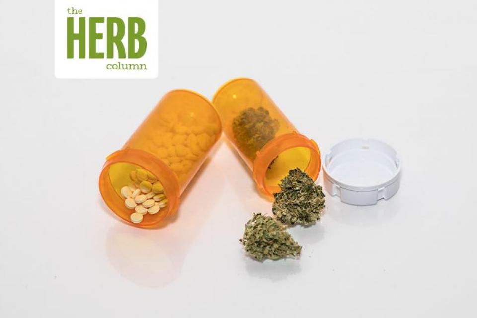 Image of cannabis and opioids for Greta Hsu's study
