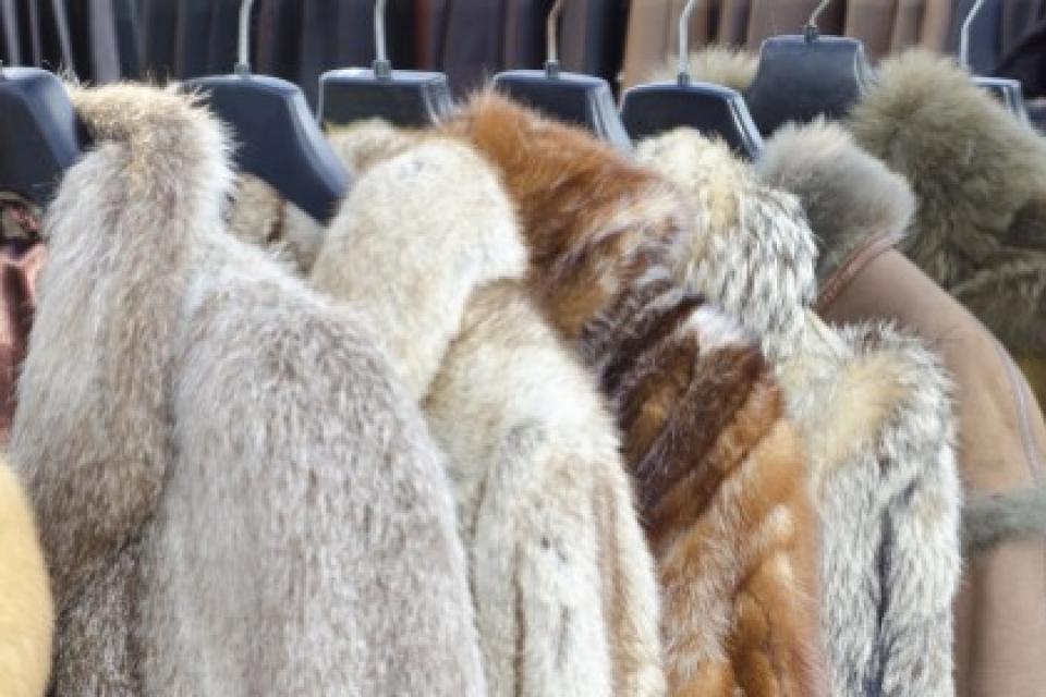 Fur coats on a rack